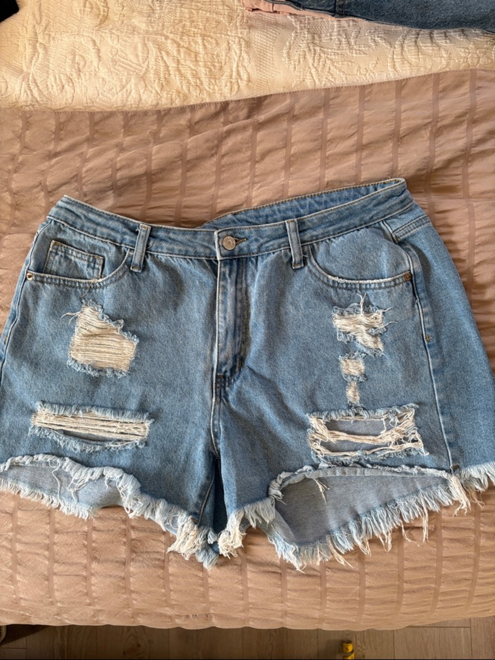 Source Unknown Light Blue Distressed High-Rise Denim Shorts